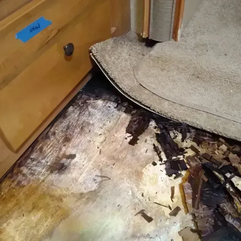 Wood Floor Water Damage in Fairfield, NJ